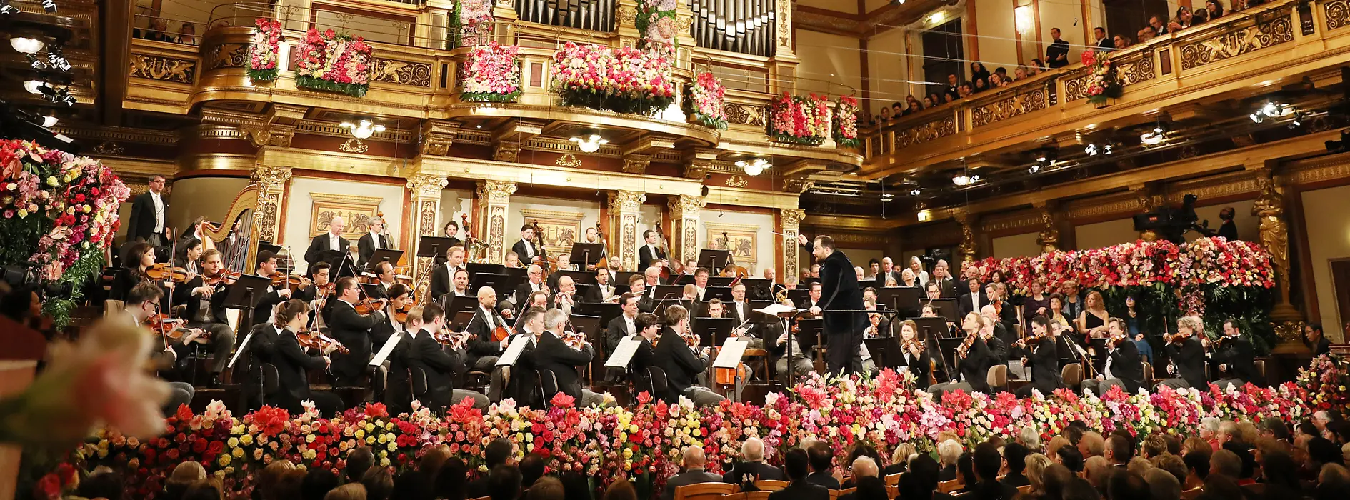 Wiener Musikverein (Vienna Philharmonic Orchestra)